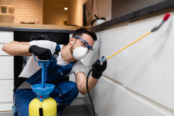 Best Residential Pest Control  in Adwolf, VA