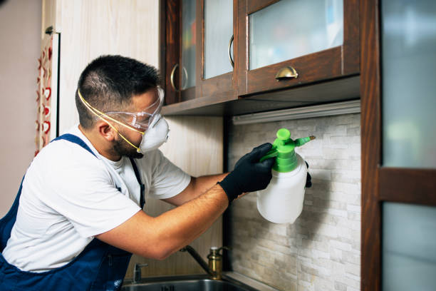 Best Pest Prevention Services  in Adwolf, VA