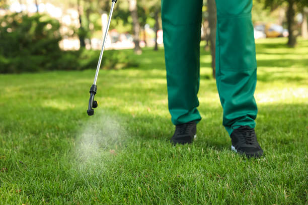 Best Affordable Pest Control Services  in Adwolf, VA