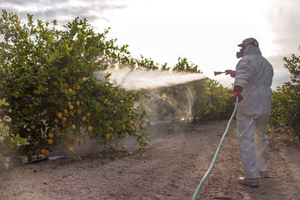 Best Pest Control Near Me  in Adwolf, VA