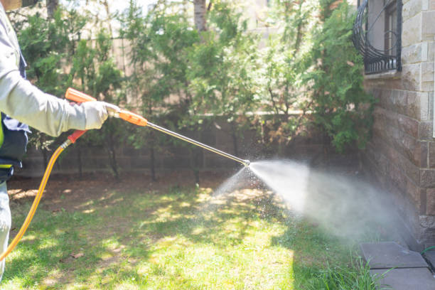Best Wasp Removal Services  in Adwolf, VA