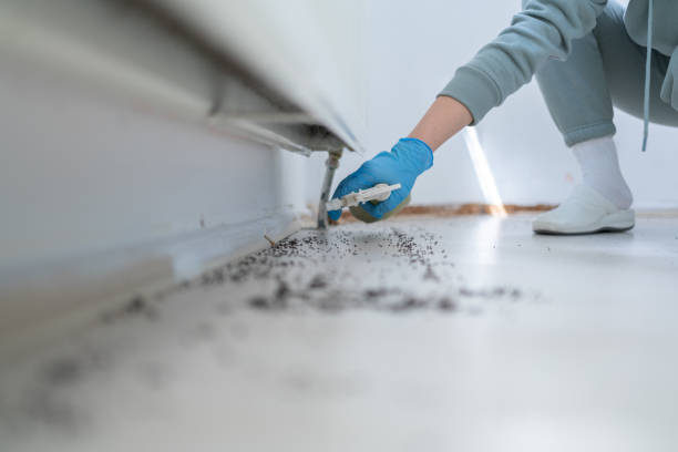 Best Emergency Pest Control  in Adwolf, VA